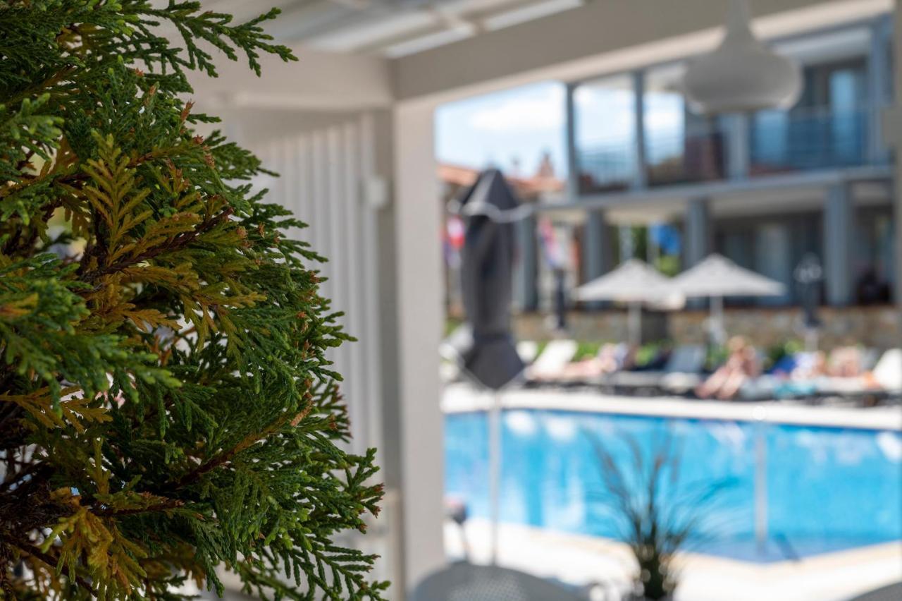 Dionysos Hotel & Suites Hanioti Exteriör bild
